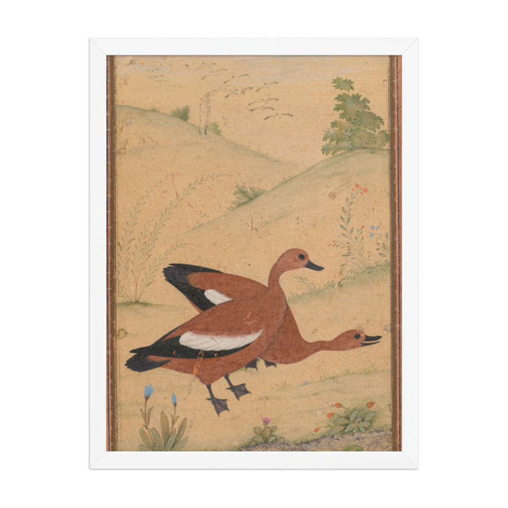 A pair of Brahminy ducks — Restored Mughal Wall Art — view 5