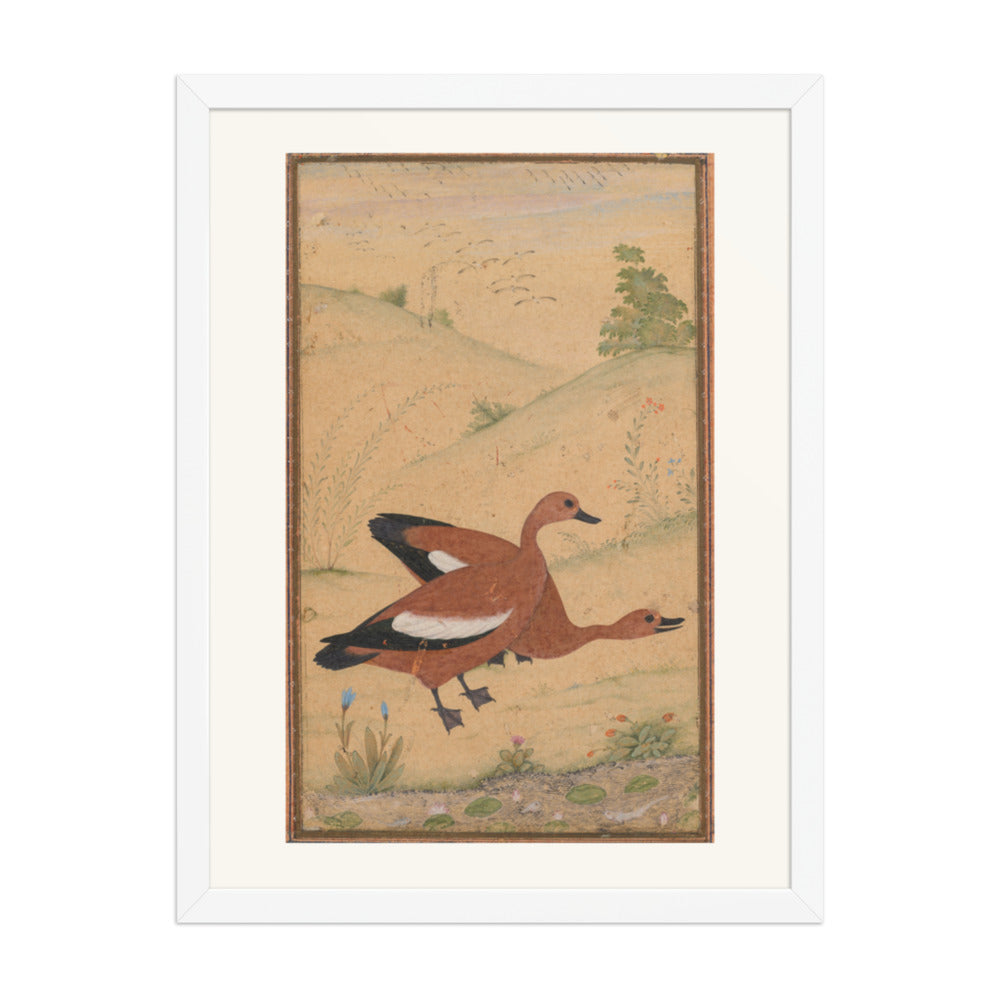 A pair of Brahminy ducks — Restored Mughal Wall Art — view 5