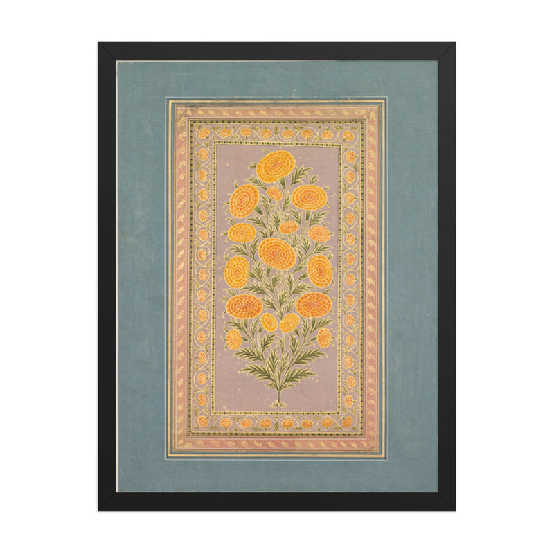 Flowering Marigold (verso) — Restored Mughal Wall Art