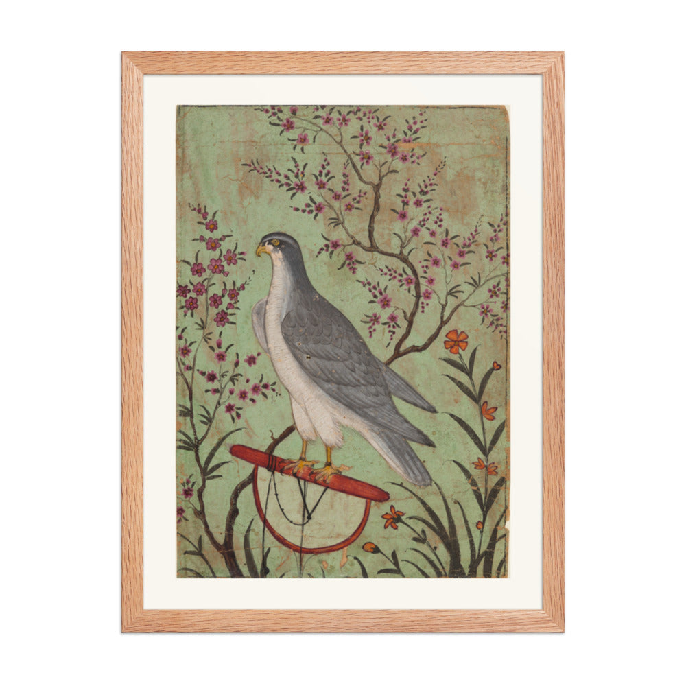 Falcon on a Perch — Restored Rajput Wall Art — view 3