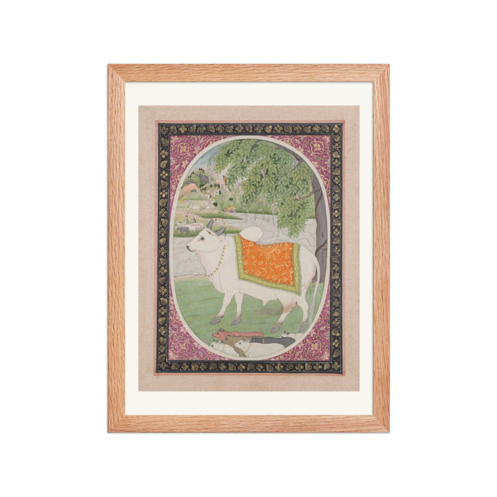 Taurus, from a 