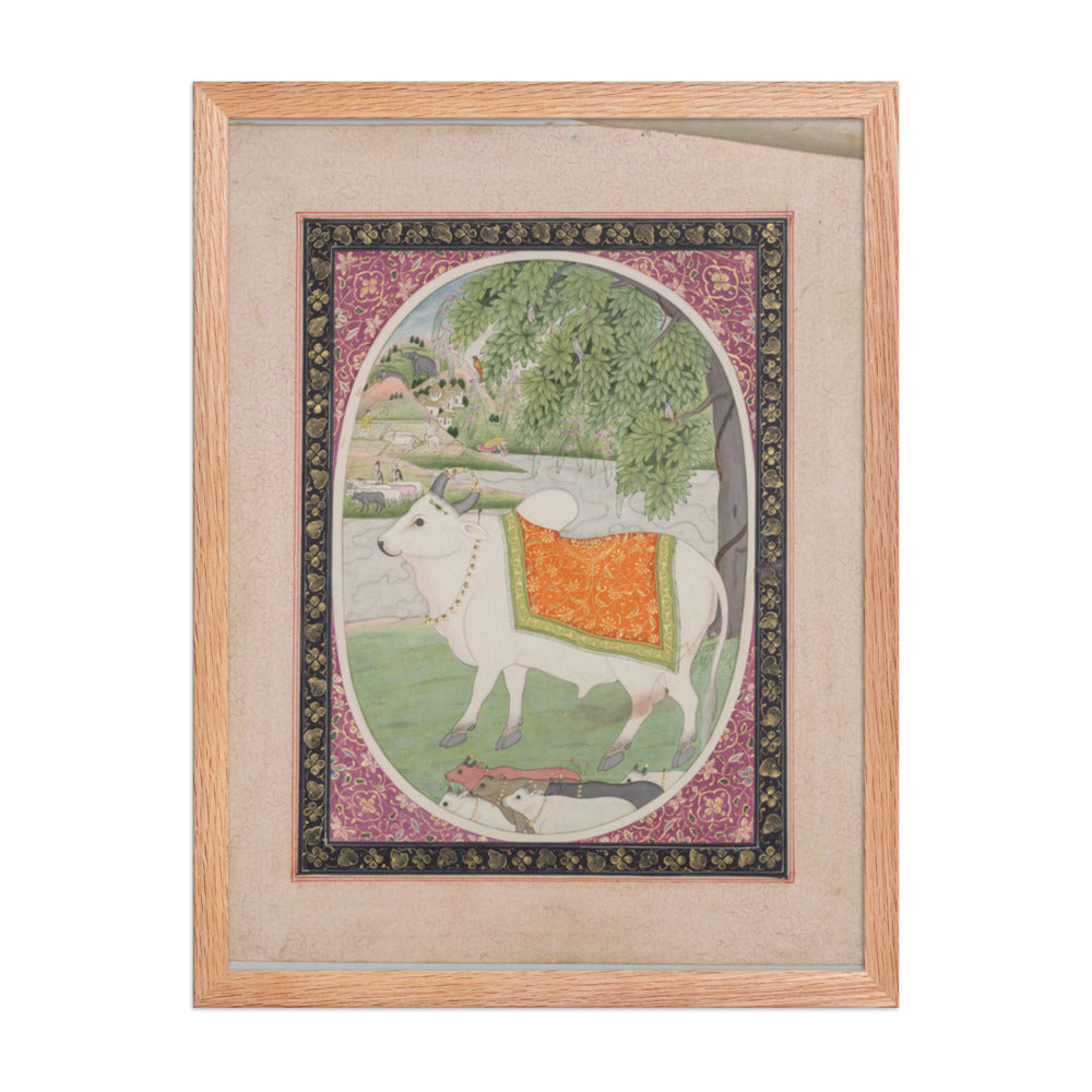 Taurus, from a 