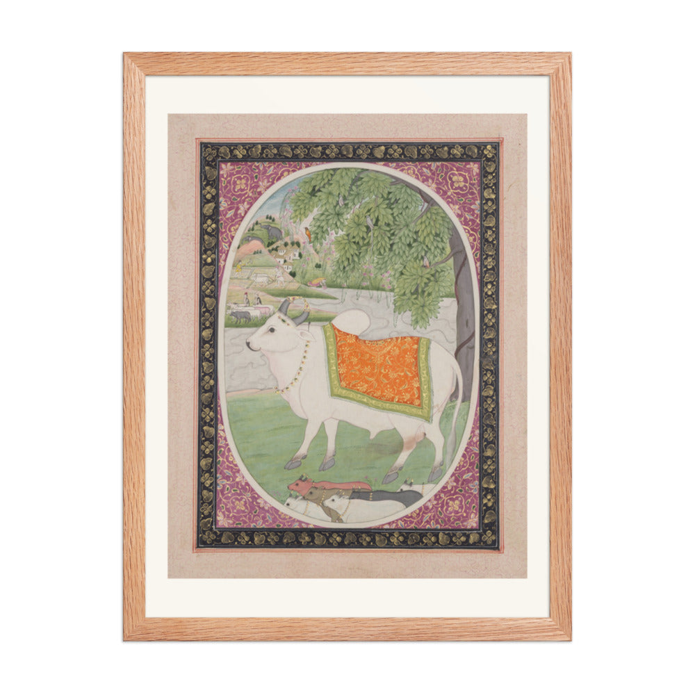 Taurus, from a 