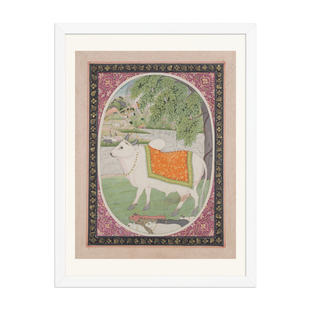 Taurus, from a 