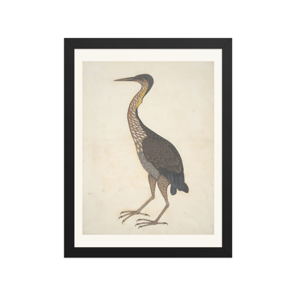 Study of a Purple Heron — Restored Indian Court Wall Art — view 2