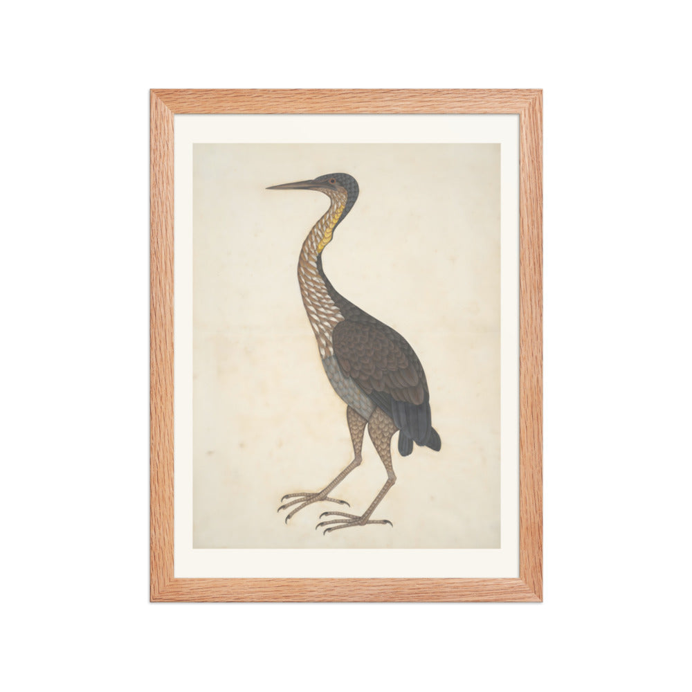 Study of a Purple Heron — Restored Indian Court Wall Art — view 4