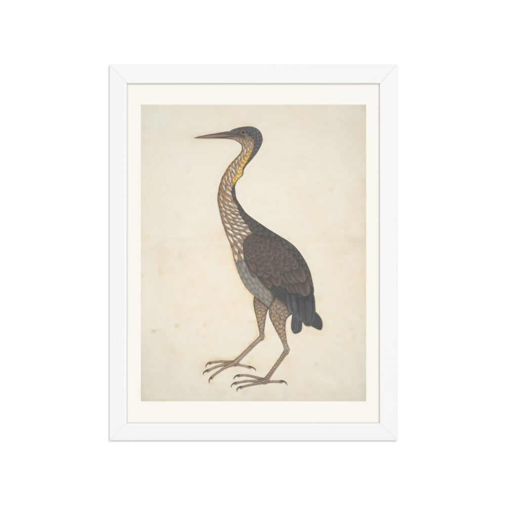 Study of a Purple Heron — Restored Indian Court Wall Art — view 6