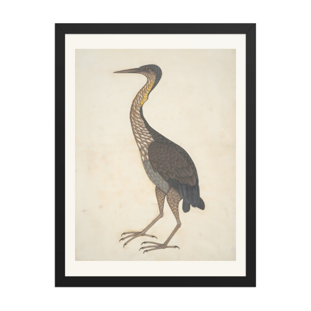 Study of a Purple Heron — Restored Indian Court Wall Art — view 1
