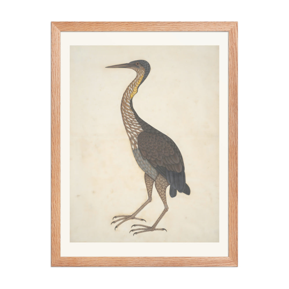 Study of a Purple Heron — Restored Indian Court Wall Art — view 3