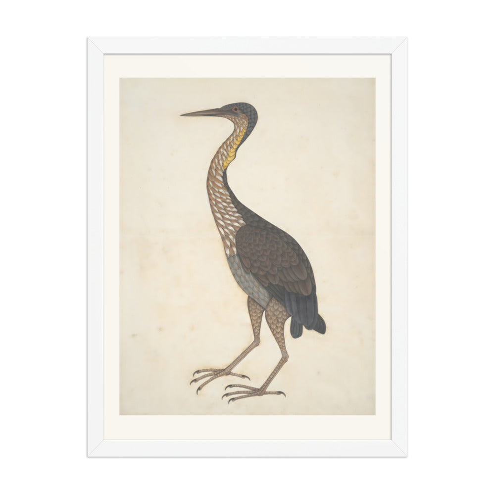 Study of a Purple Heron — Restored Indian Court Wall Art — view 5