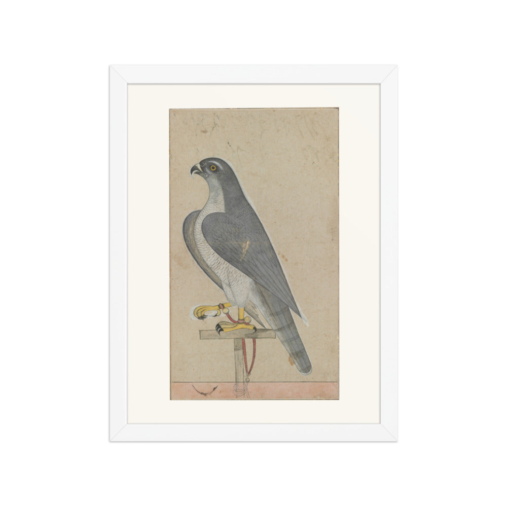 Falcon — Restored Pahari Wall Art — view 3