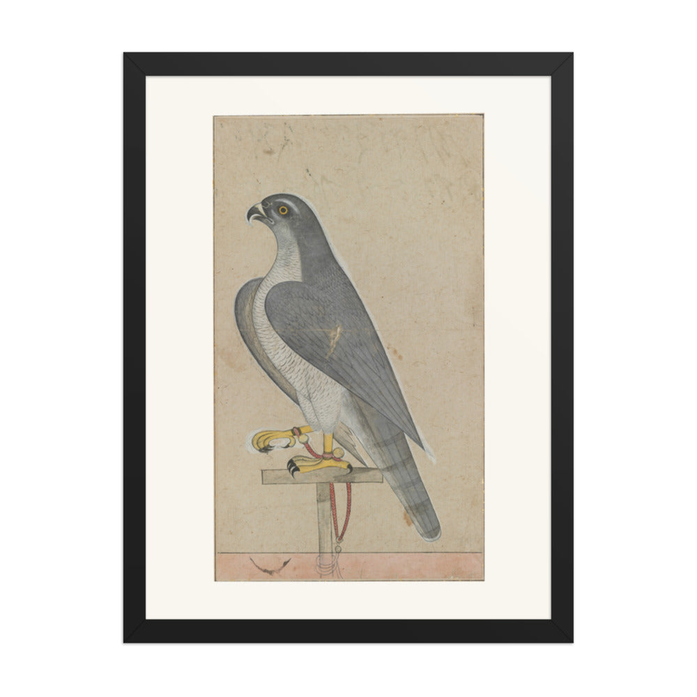Falcon — Restored Pahari Wall Art — view 4