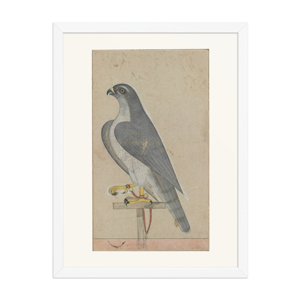Falcon — Restored Pahari Wall Art — view 6