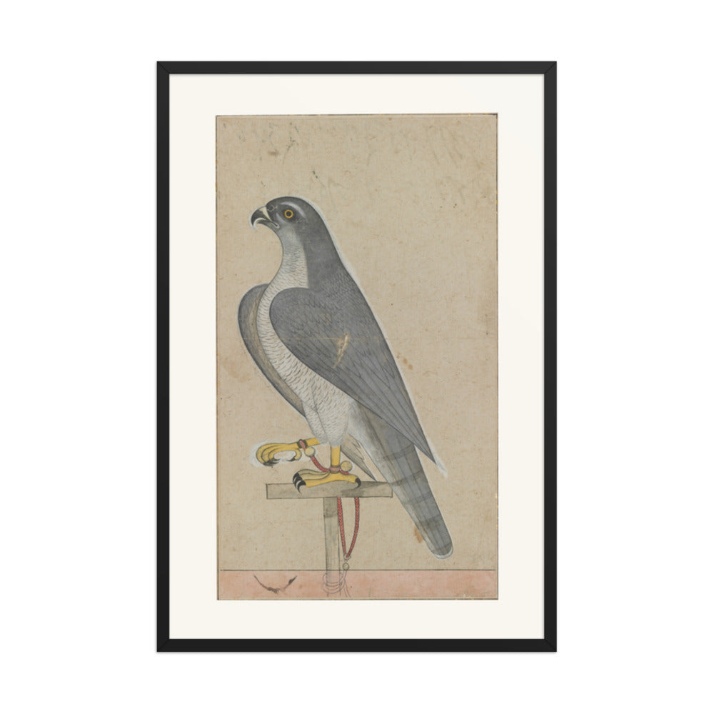 Falcon — Restored Pahari Wall Art — view 7