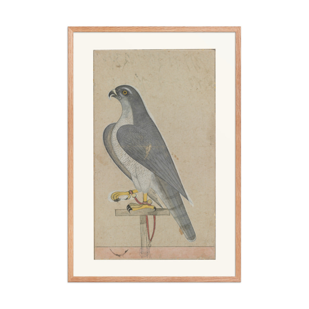 Falcon — Restored Pahari Wall Art — view 8
