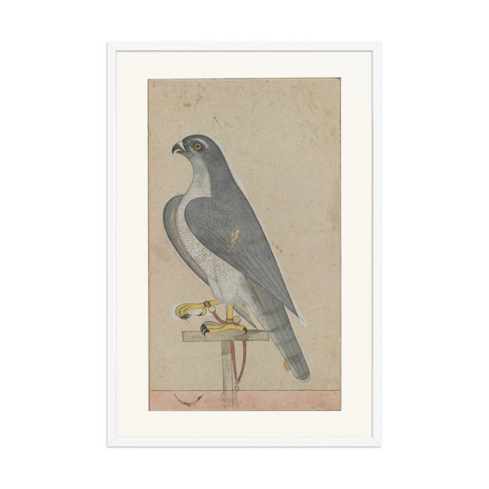 Falcon — Restored Pahari Wall Art — view 9
