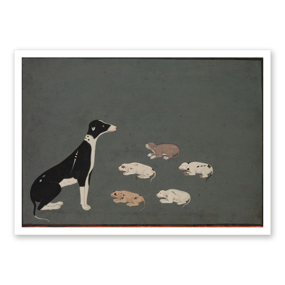 Dog with pups — Restored Rajput Wall Art — view 7