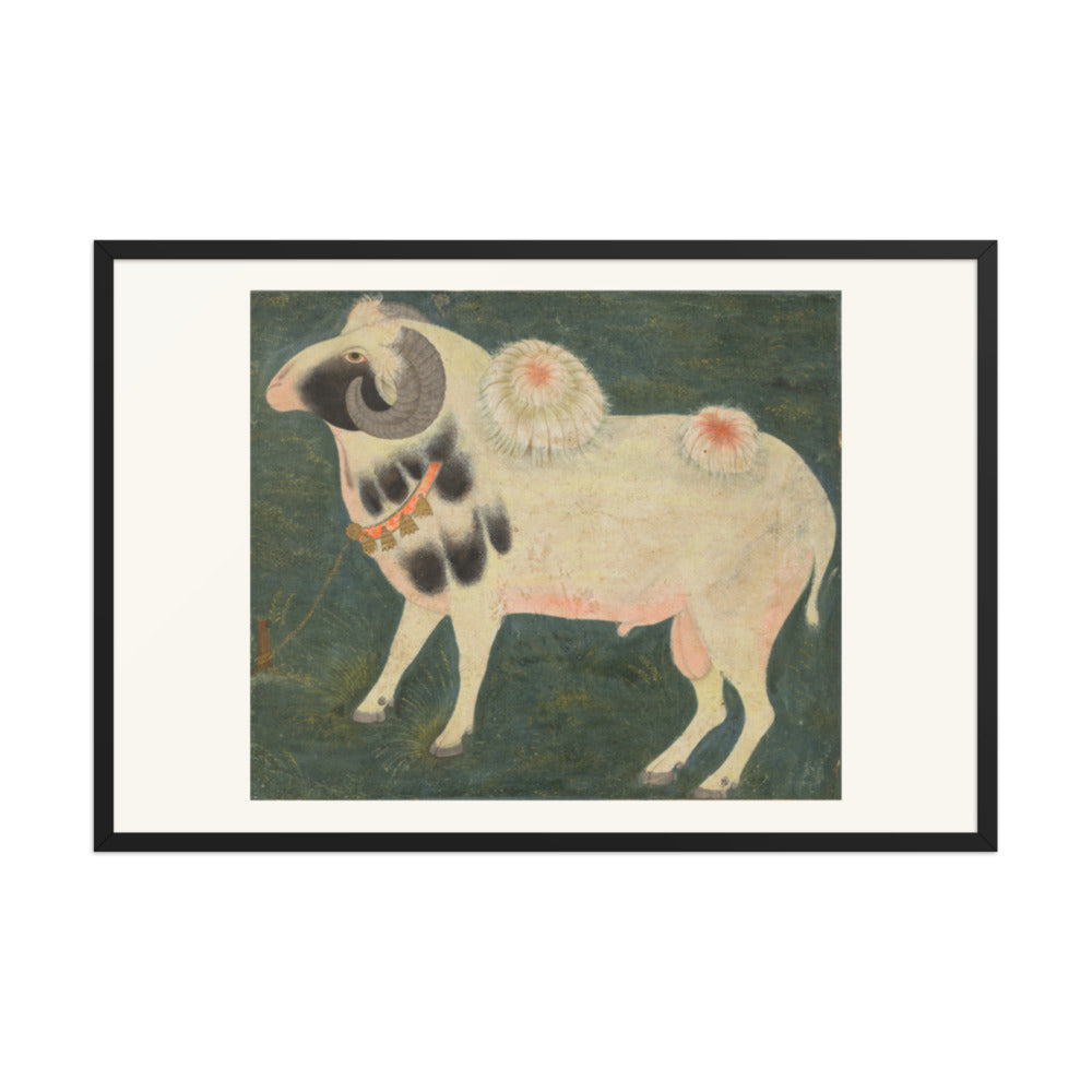 A royal ram with a gold chain — Restored Mughal Wall Art — view 8