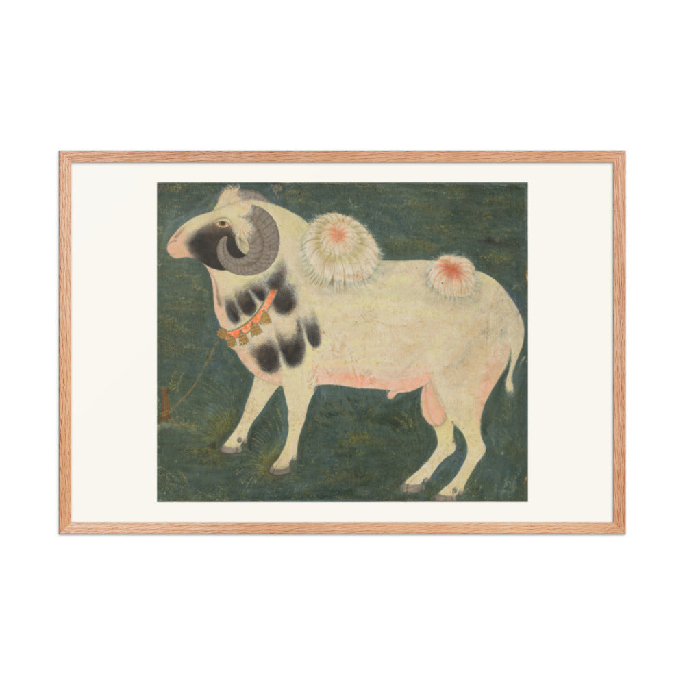 A royal ram with a gold chain — Restored Mughal Wall Art — view 9