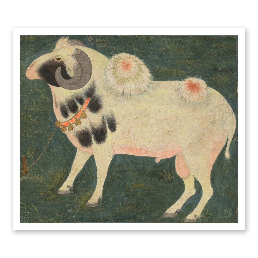A royal ram with a gold chain — Restored Mughal Wall Art — view 7