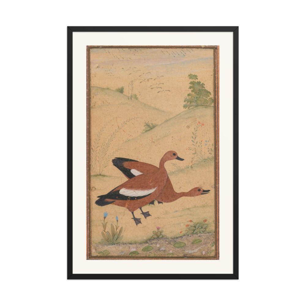 A pair of Brahminy ducks — Restored Mughal Wall Art — view 8
