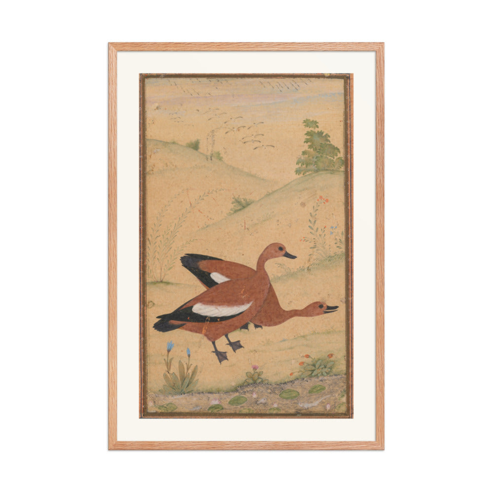 A pair of Brahminy ducks — Restored Mughal Wall Art — view 9