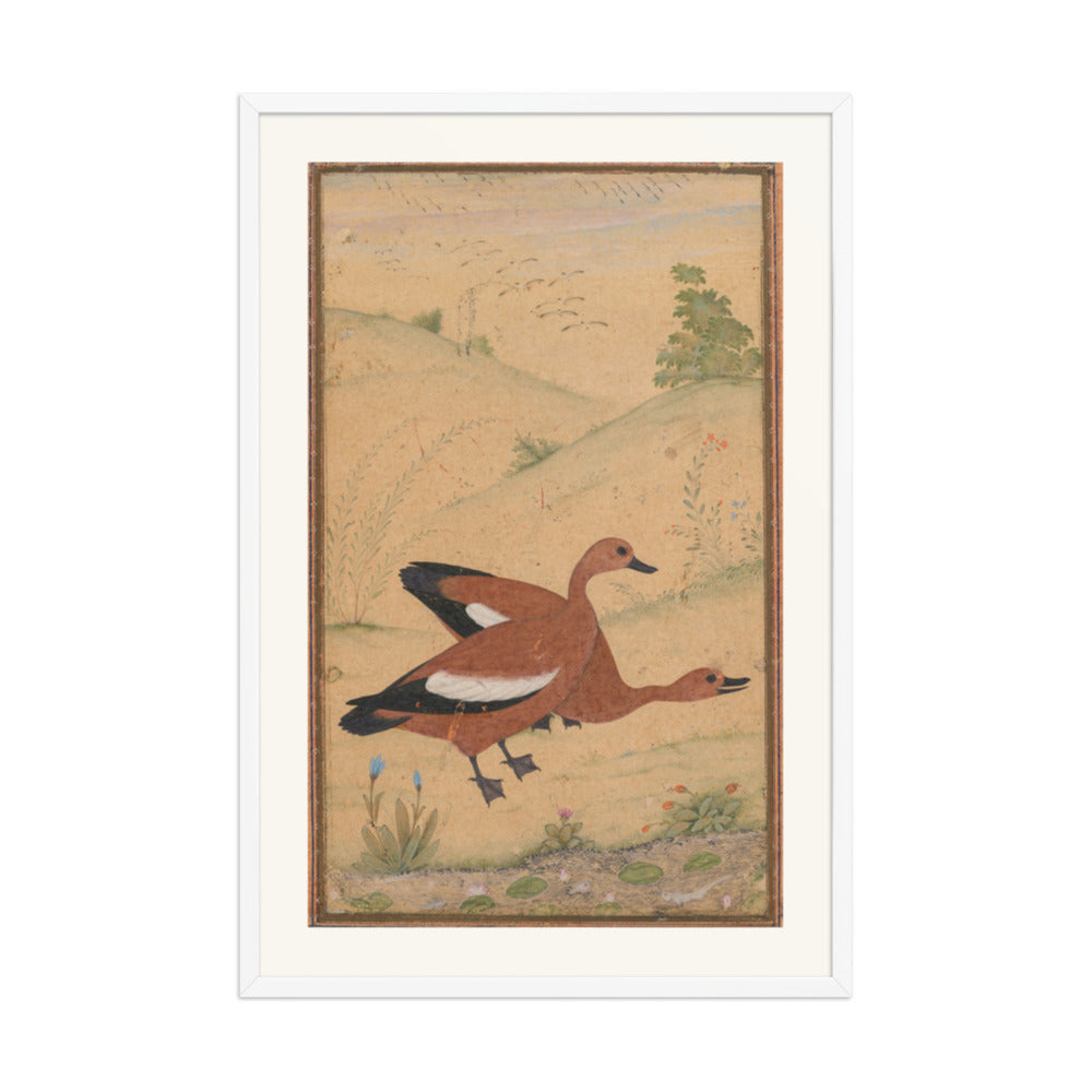 A pair of Brahminy ducks — Restored Mughal Wall Art — view 10