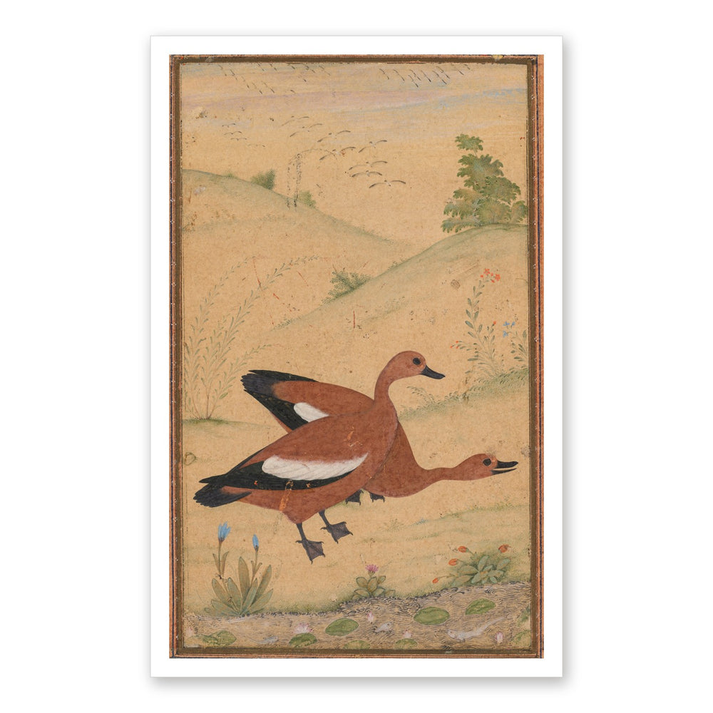 A pair of Brahminy ducks — Restored Mughal Wall Art — view 7
