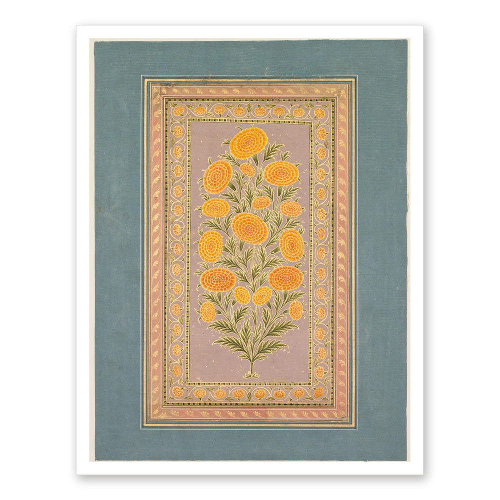 Flowering Marigold (verso) — Restored Mughal Wall Art — view 7