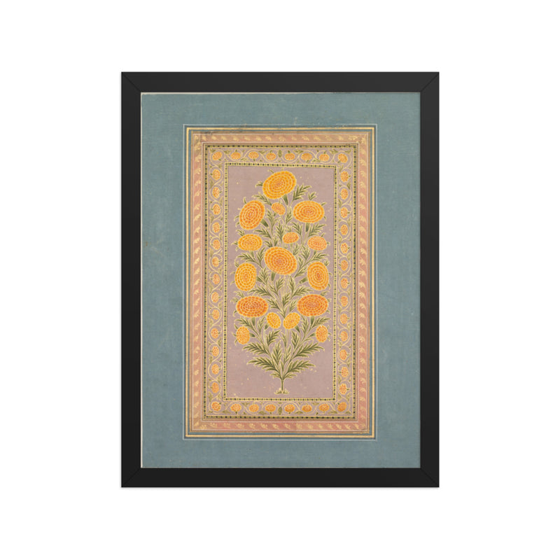 Flowering Marigold (verso) — Restored Mughal Wall Art