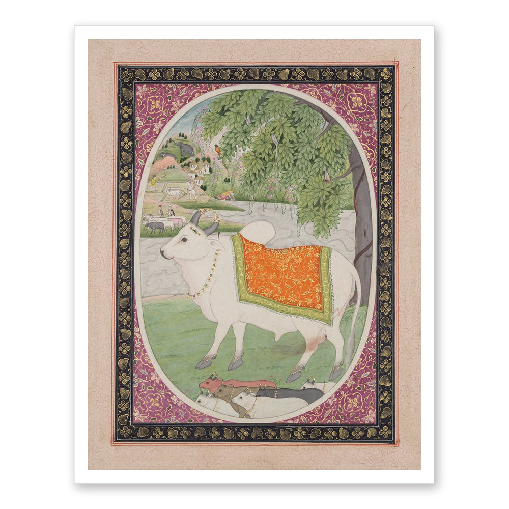 Taurus, from a 