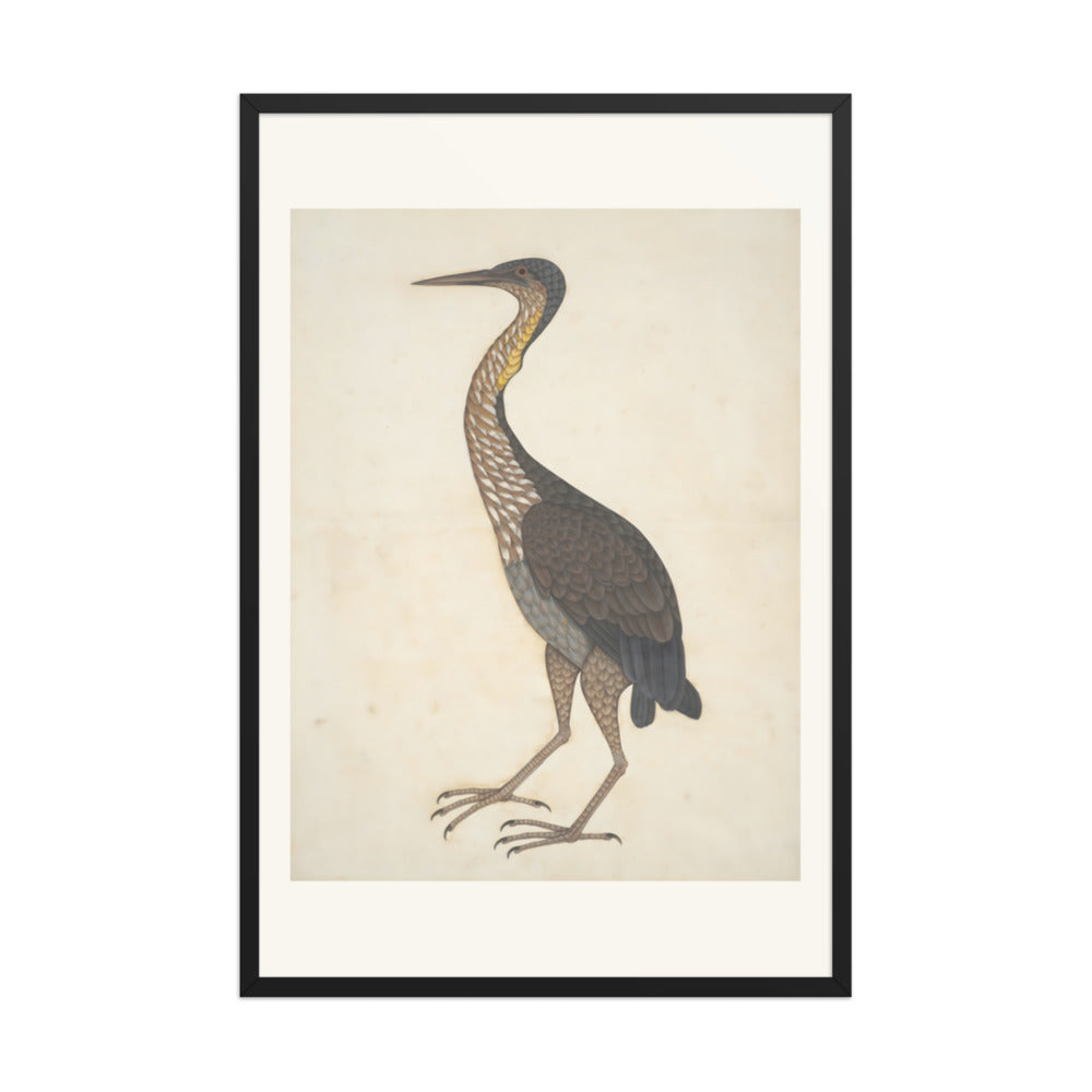 Study of a Purple Heron — Restored Indian Court Wall Art — view 10