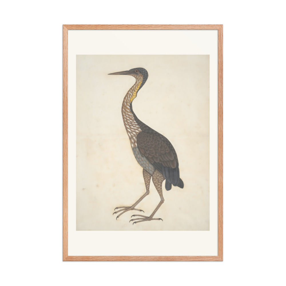 Study of a Purple Heron — Restored Indian Court Wall Art — view 11