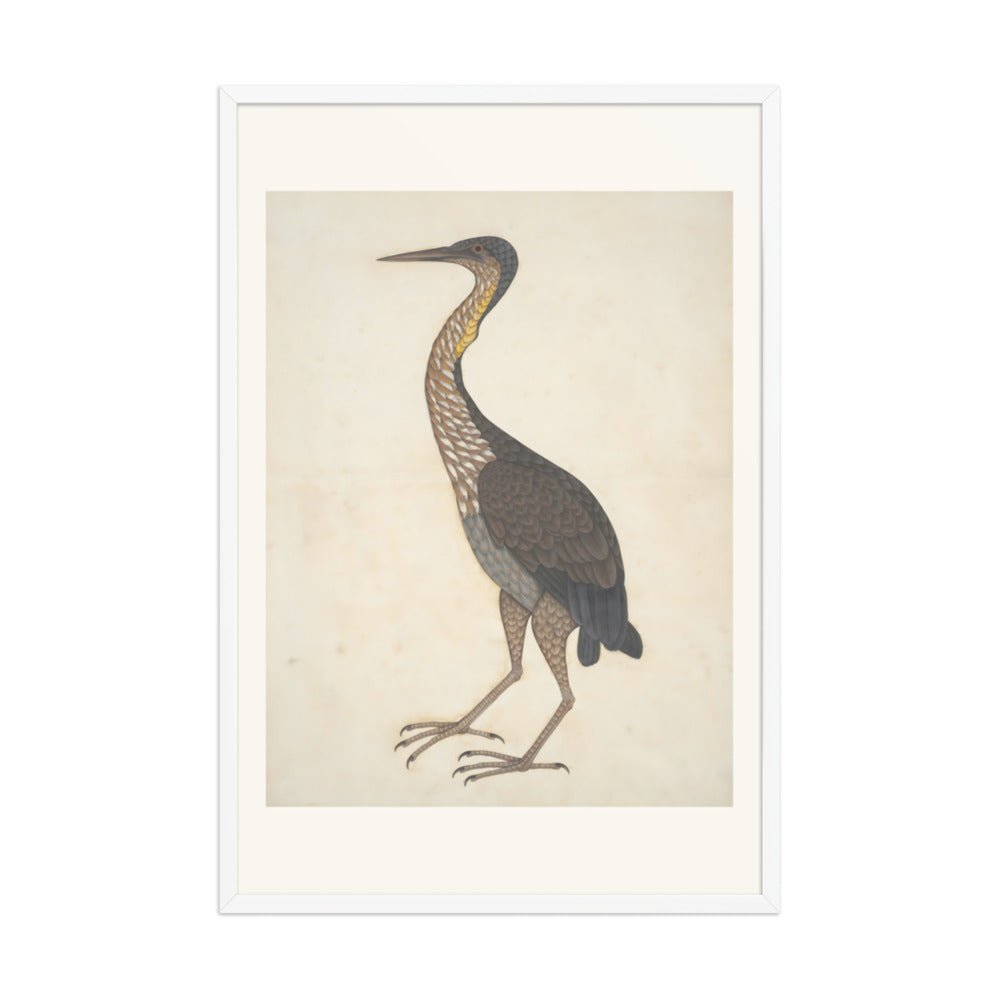 Study of a Purple Heron — Restored Indian Court Wall Art — view 12