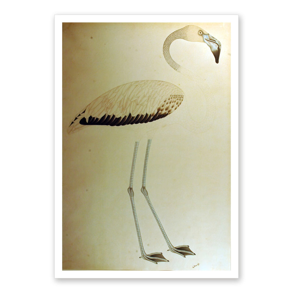 Study of a Flamingo — Restored Indian Court Wall Art — view 7