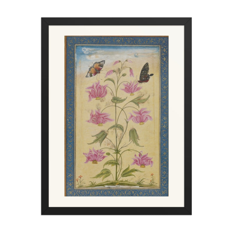 Flowering Plants with Butterflies — Mughal Natural History