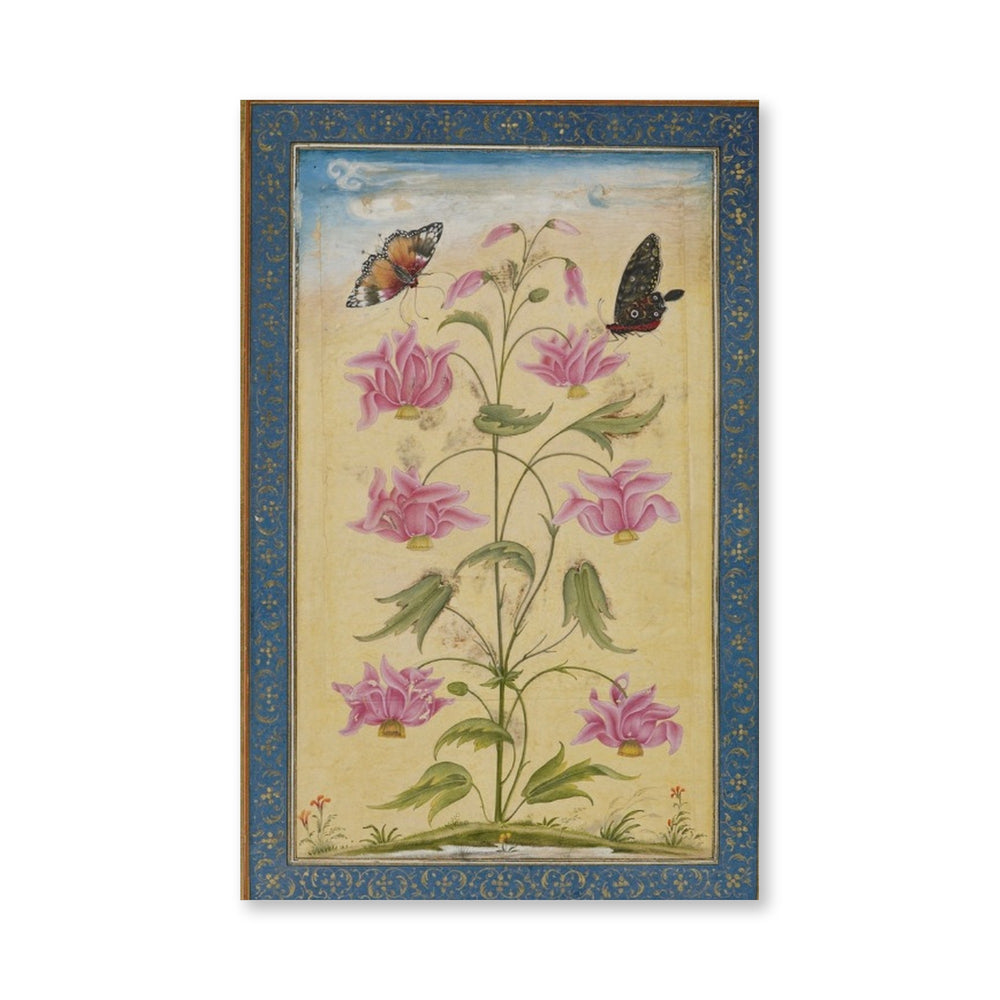 Flowering Plants with Butterflies — Mughal Natural History — view 4