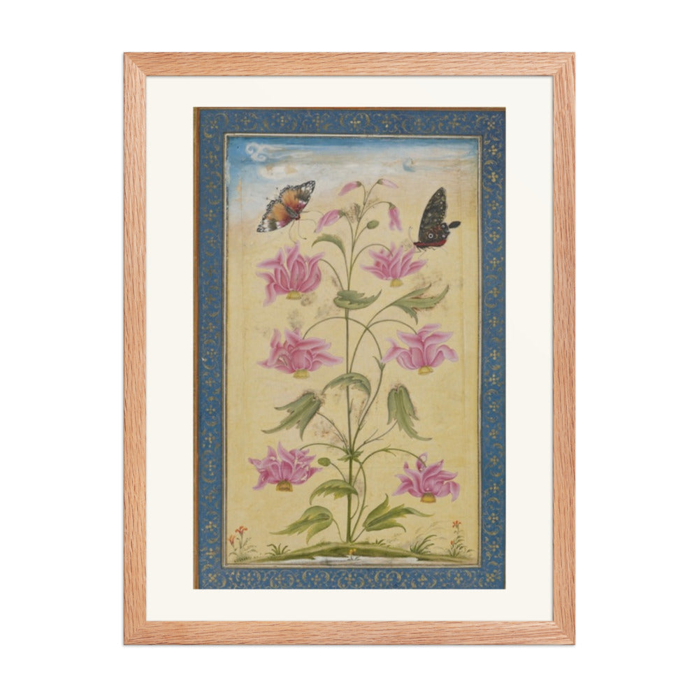 Flowering Plants with Butterflies — Mughal Natural History — view 2