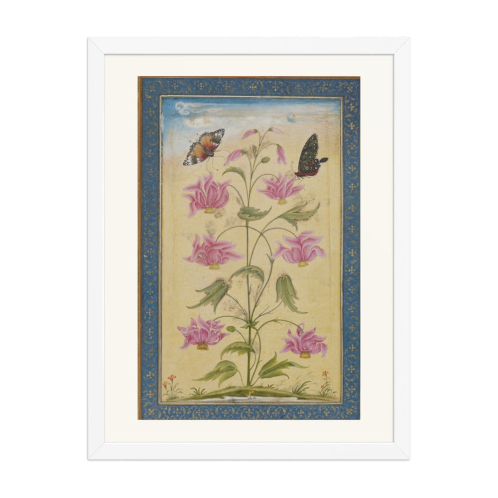 Flowering Plants with Butterflies — Mughal Natural History — view 3