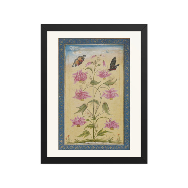 Flowering Plants with Butterflies — Mughal Natural History