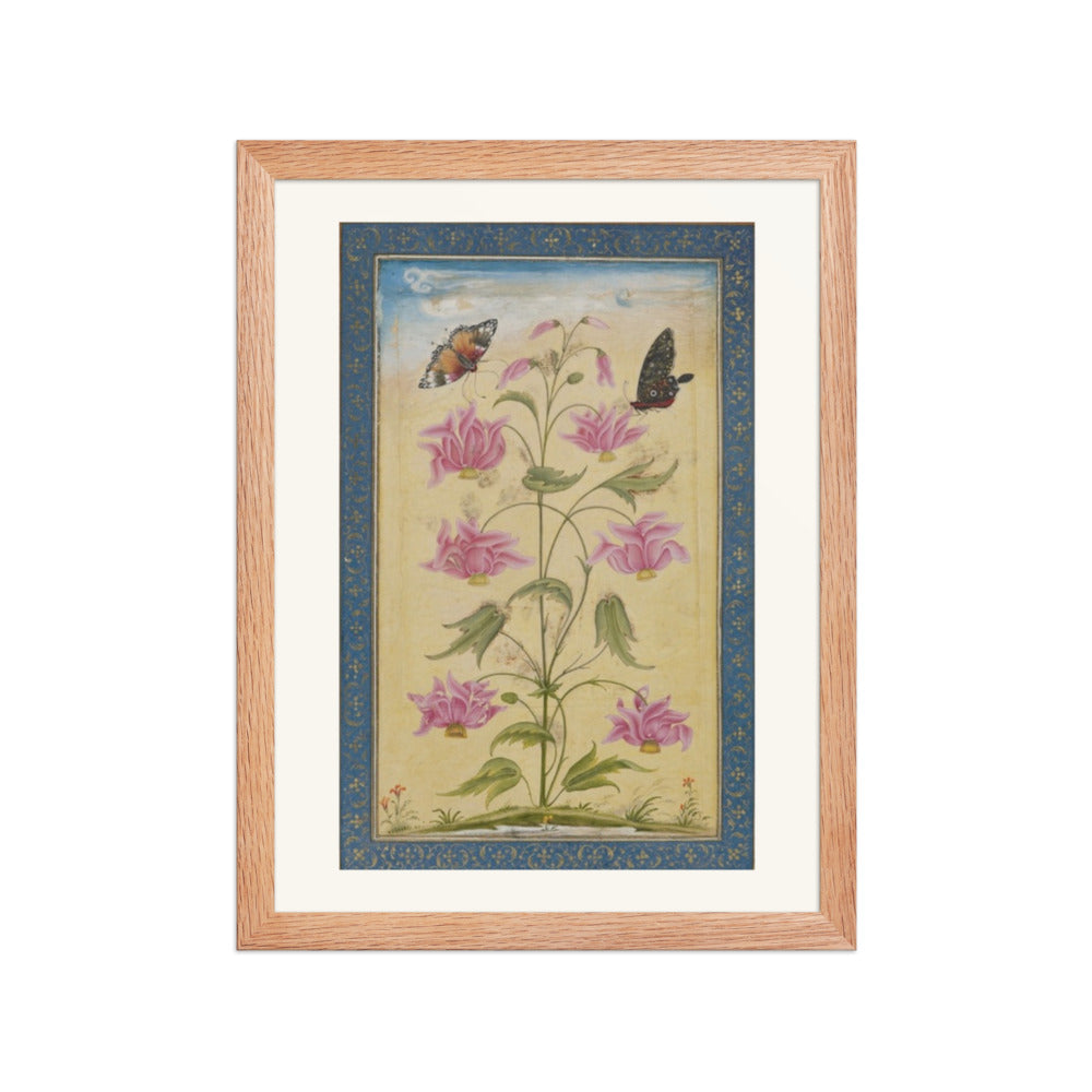 Flowering Plants with Butterflies — Mughal Natural History — view 2