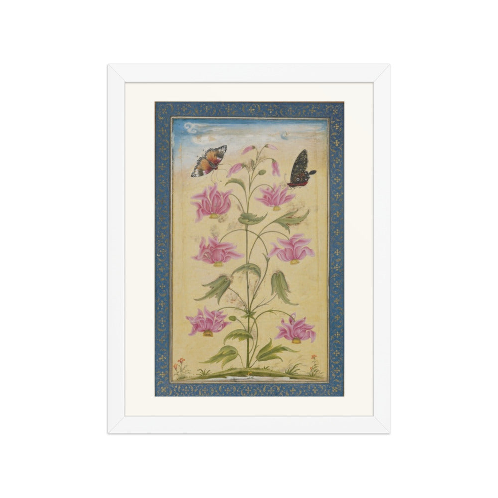 Flowering Plants with Butterflies — Mughal Natural History — view 3