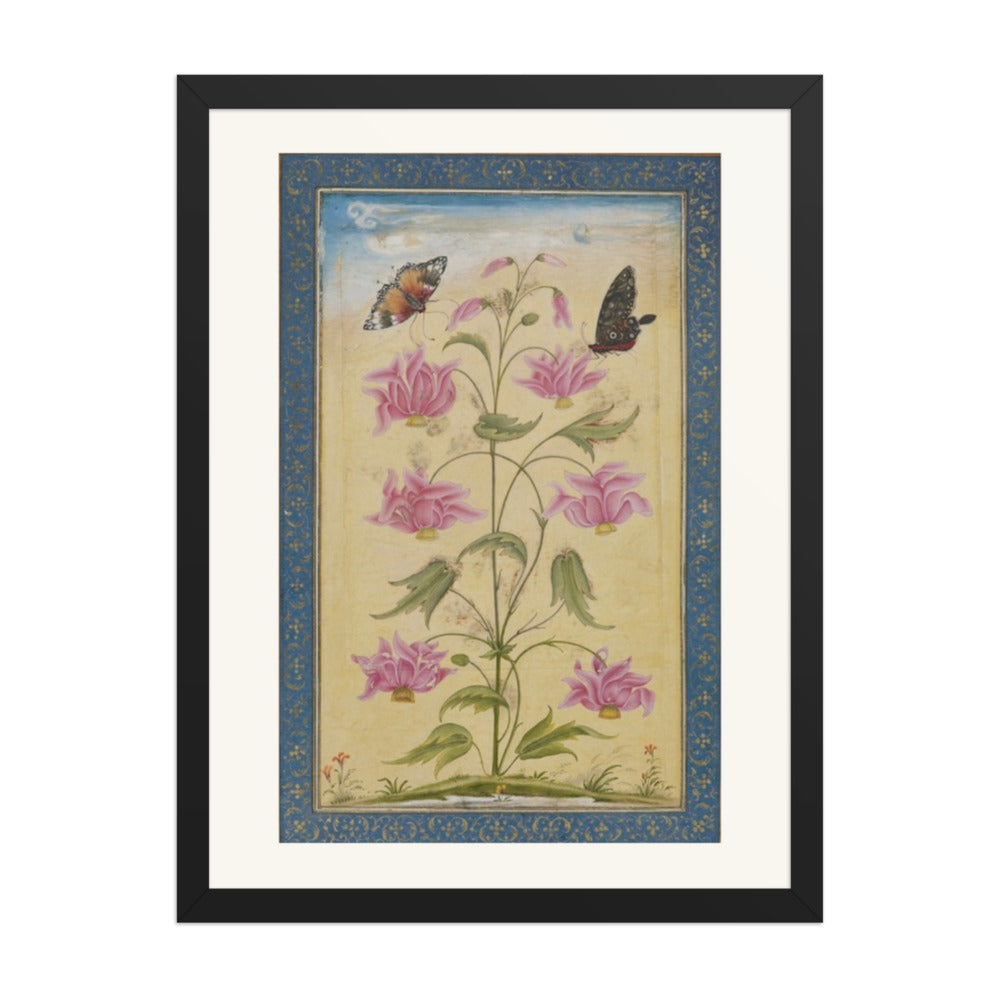 Flowering Plants with Butterflies — Mughal Natural History — view 4
