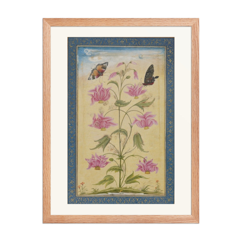 Flowering Plants with Butterflies — Mughal Natural History — view 5