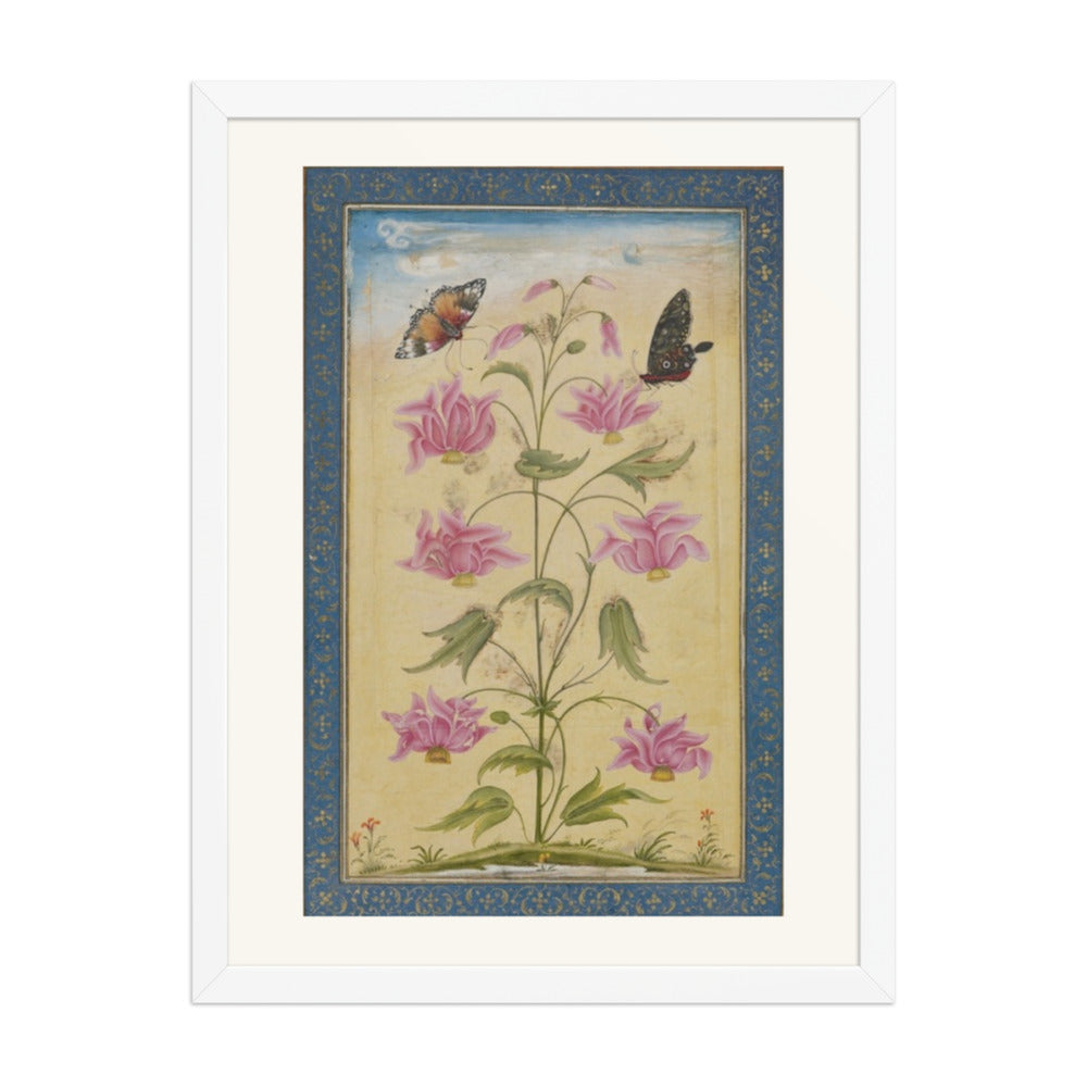Flowering Plants with Butterflies — Mughal Natural History — view 6
