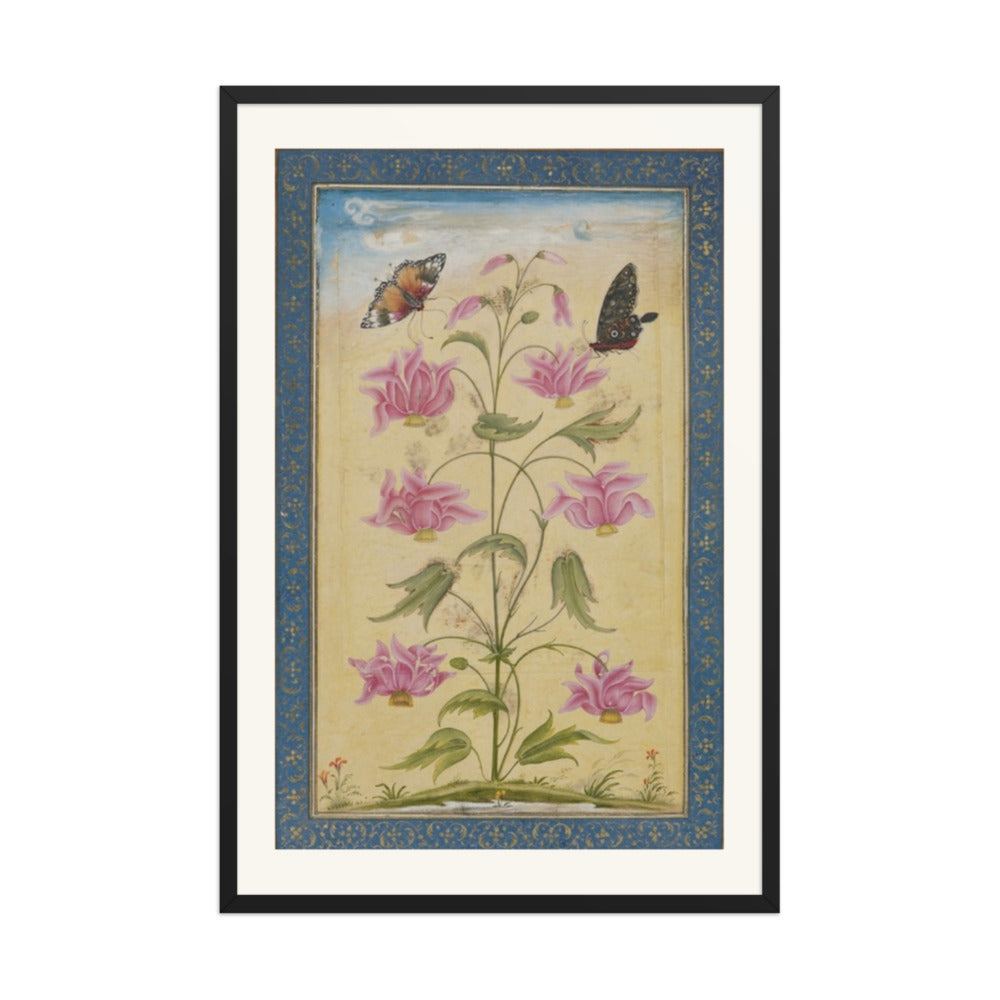 Flowering Plants with Butterflies — Mughal Natural History — view 7