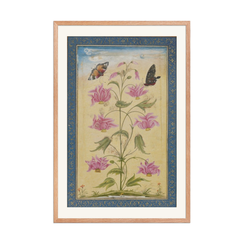 Flowering Plants with Butterflies — Mughal Natural History — view 8