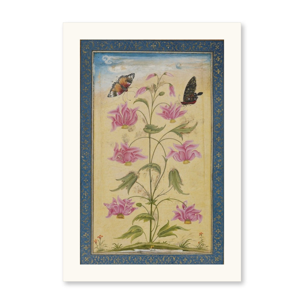 Flowering Plants with Butterflies — Mughal Natural History — view 10