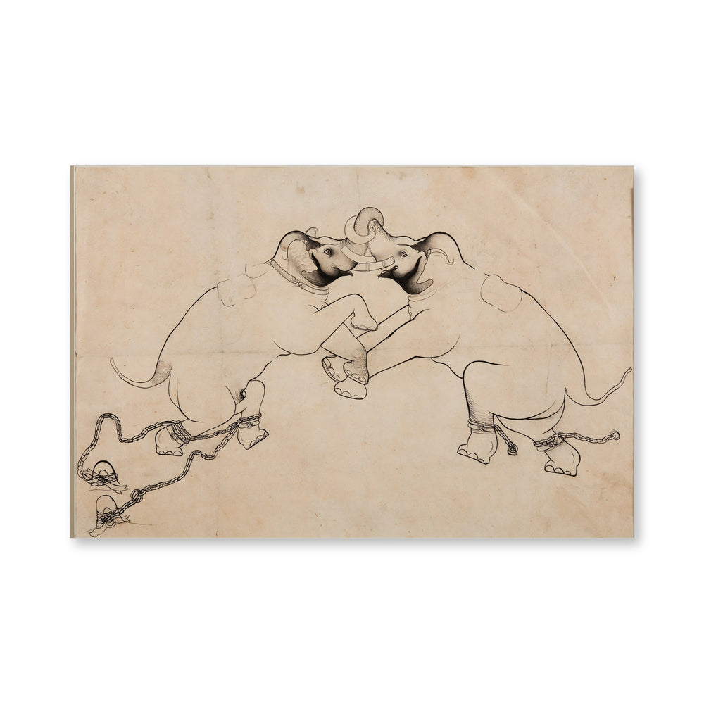 Two Elephants in Combat — view 4