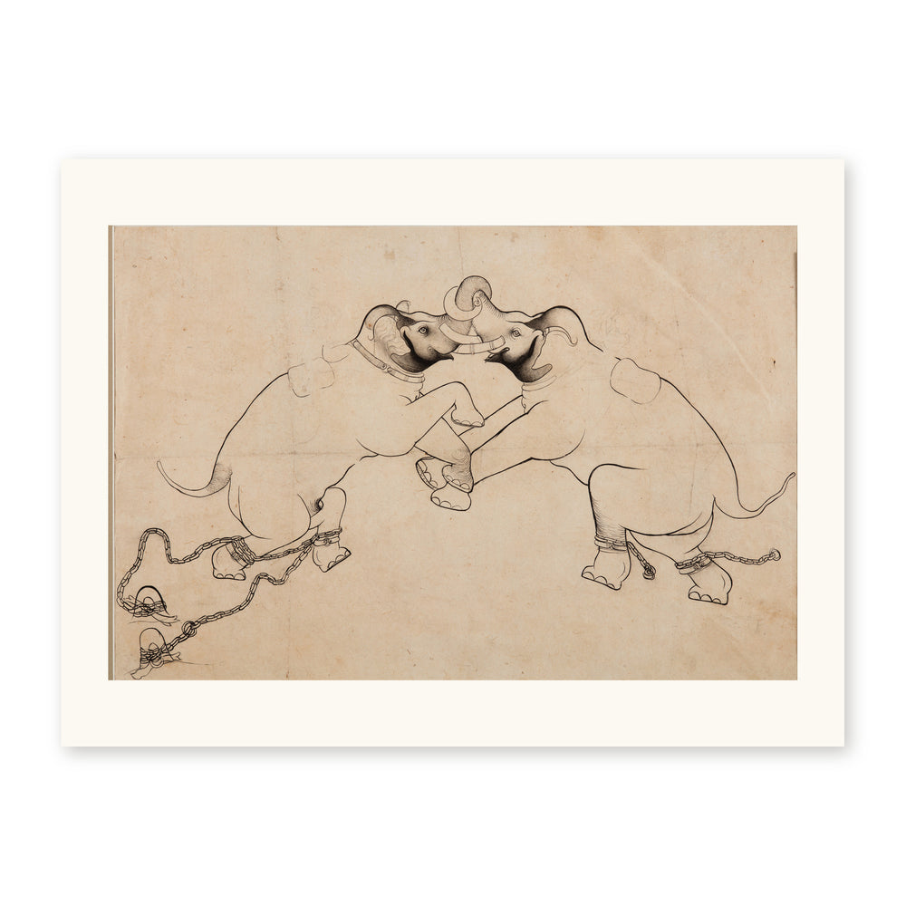 Two Elephants in Combat — view 7